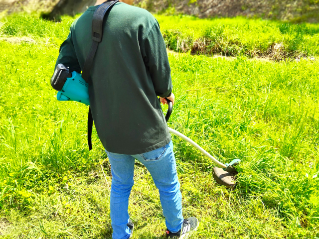 草刈り・草取り・落ち葉清掃